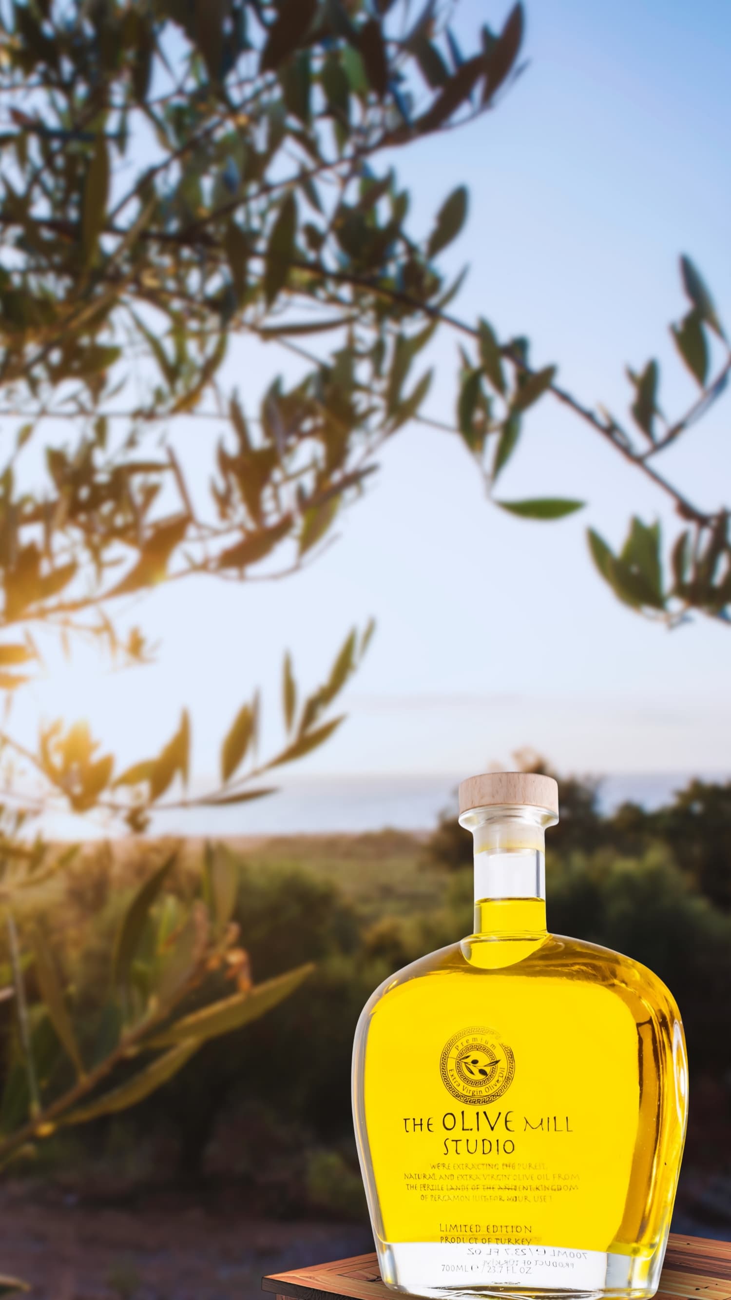 Altın saatte zeytinlik ve The Olive Mill Studio şişesi